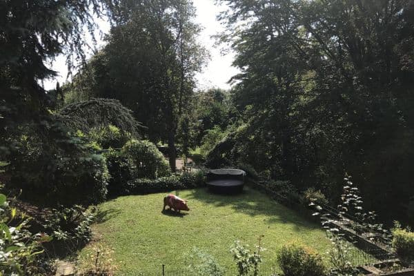 4 bedroom flat to rent, 140 m², Parkstraße 99A, Wiesbaden, Hesse 4 bedroom flat to rent, 140 m², Parkstraße 99A, Wiesbaden, Hesse