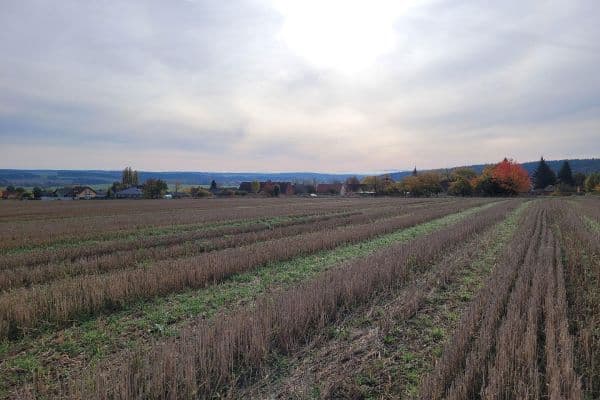 plot for sale, 300,000 m², Westböhmen 1, Tirschenreuth plot for sale, 300,000 m², Westböhmen 1, Tirschenreuth