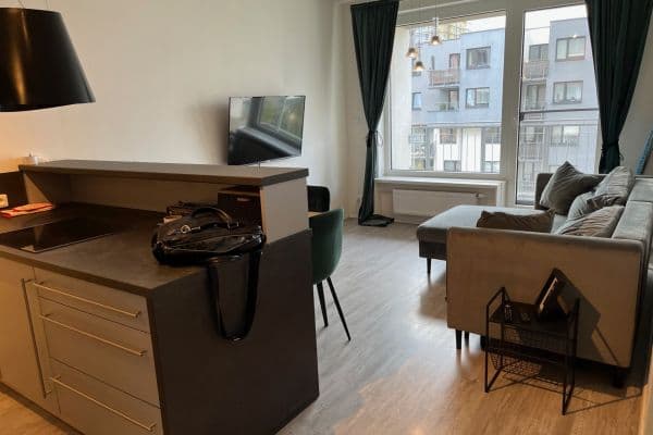 1 bedroom with open-plan kitchen flat to rent, 52 m², Pod Harfou, Hlavní město Praha 1 bedroom with open-plan kitchen flat to rent, 52 m², Pod Harfou, Hlavní město Praha