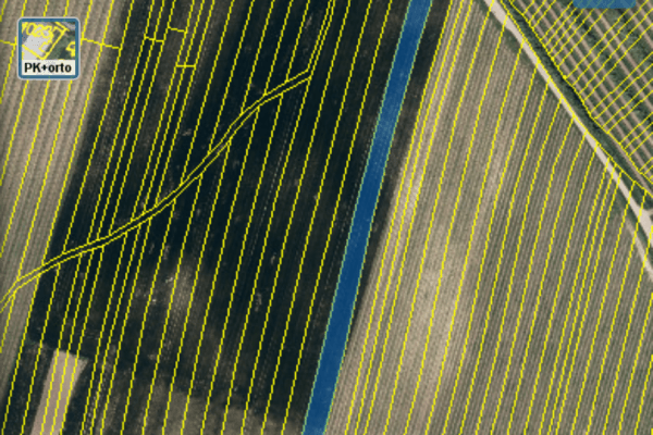 plot for sale, 8,393 m², Nechvalín plot for sale, 8,393 m², Nechvalín