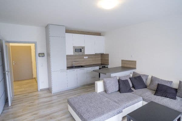 1 bedroom with open-plan kitchen flat to rent, 51 m², O. Nedbala, České Budějovice 1 bedroom with open-plan kitchen flat to rent, 51 m², O. Nedbala, České Budějovice