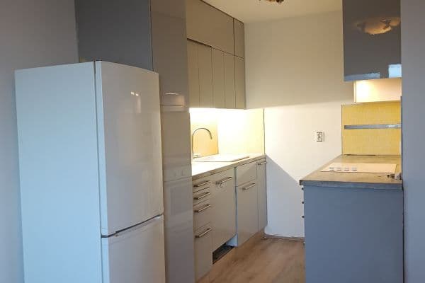 1 bedroom with open-plan kitchen flat to rent, 40 m², Štúrova, Hlavní město Praha 1 bedroom with open-plan kitchen flat to rent, 40 m², Štúrova, Hlavní město Praha