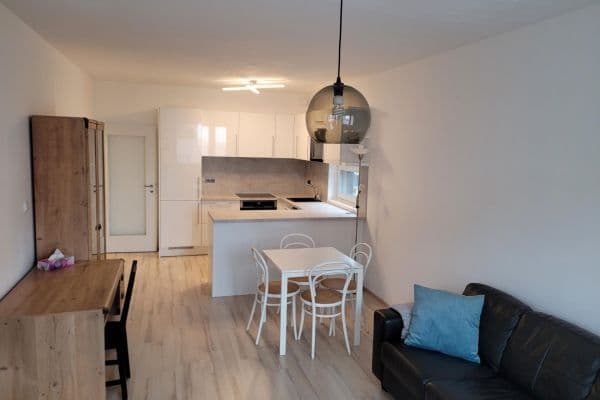 1 bedroom with open-plan kitchen flat to rent, 57 m², Makedonská, Hlavní město Praha 1 bedroom with open-plan kitchen flat to rent, 57 m², Makedonská, Hlavní město Praha