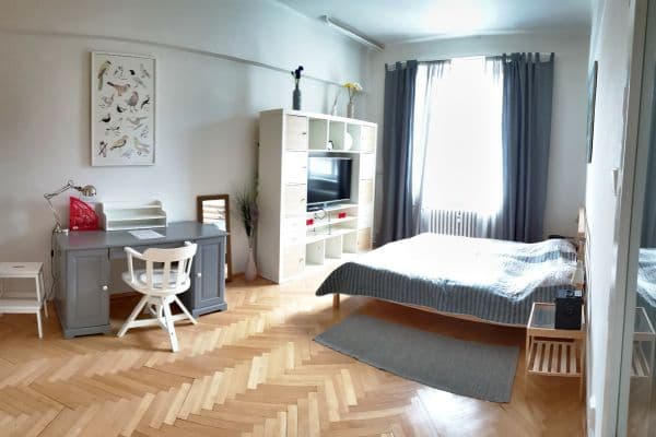 1 bedroom with open-plan kitchen flat to rent, 47 m², Bělohorská, Praha 1 bedroom with open-plan kitchen flat to rent, 47 m², Bělohorská, Praha