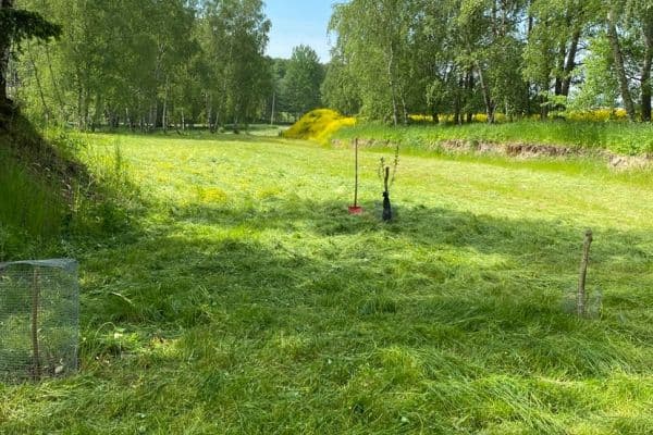 Plot for sale Plot for sale