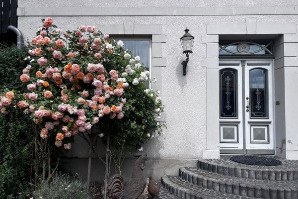 house for sale, 345 m², Wendeburg house for sale, 345 m², Wendeburg