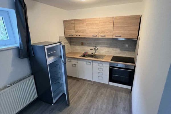1 bedroom with open-plan kitchen flat to rent, 40 m², Lomená, Křemže 1 bedroom with open-plan kitchen flat to rent, 40 m², Lomená, Křemže