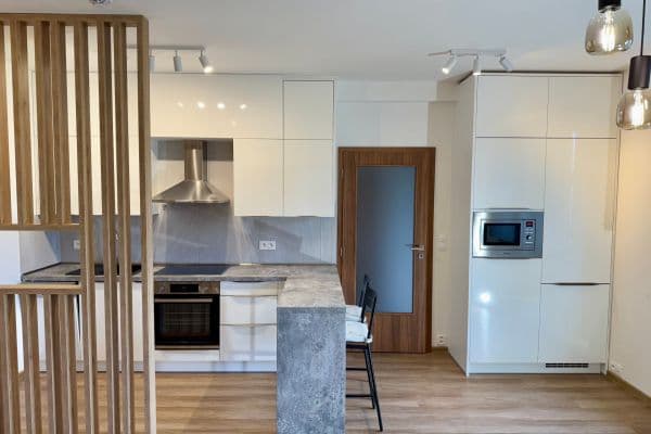 1 bedroom with open-plan kitchen flat to rent, 50 m², Na Radosti, Praha 1 bedroom with open-plan kitchen flat to rent, 50 m², Na Radosti, Praha