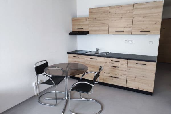 Studio flat to rent, 35 m², Brožíkova, Hradec Králové Studio flat to rent, 35 m², Brožíkova, Hradec Králové
