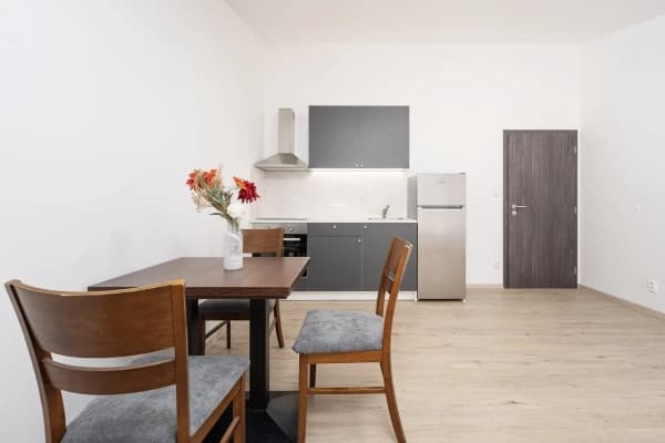 Studio flat to rent, 28 m², Poděbradova, Brno, Jihomoravský Region Studio flat to rent, 28 m², Poděbradova, Brno, Jihomoravský Region