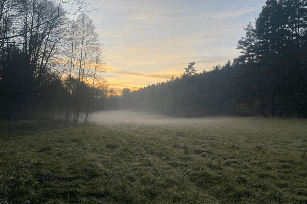 Plot for sale Plot for sale