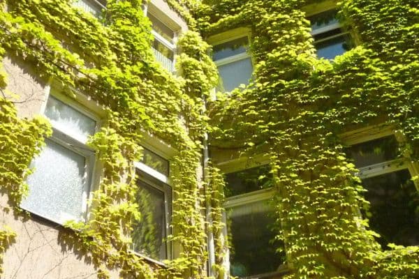 2 bedroom flat for sale, 63 m², Berlin, Berlin 2 bedroom flat for sale, 63 m², Berlin, Berlin