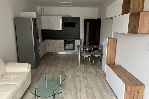1 bedroom with open-plan kitchen flat to rent, 52 m², Vítové, Hlavní město Praha 1 bedroom with open-plan kitchen flat to rent, 52 m², Vítové, Hlavní město Praha