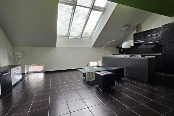 1 bedroom with open-plan kitchen flat to rent, 80 m², Myslíkova, Praha 1 bedroom with open-plan kitchen flat to rent, 80 m², Myslíkova, Praha