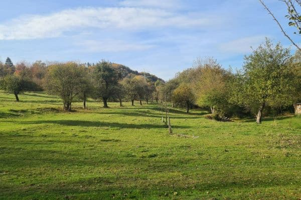 Plot for sale Plot for sale