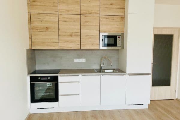 1 bedroom with open-plan kitchen flat to rent, 42 m², Miloše Havla, Praha 1 bedroom with open-plan kitchen flat to rent, 42 m², Miloše Havla, Praha