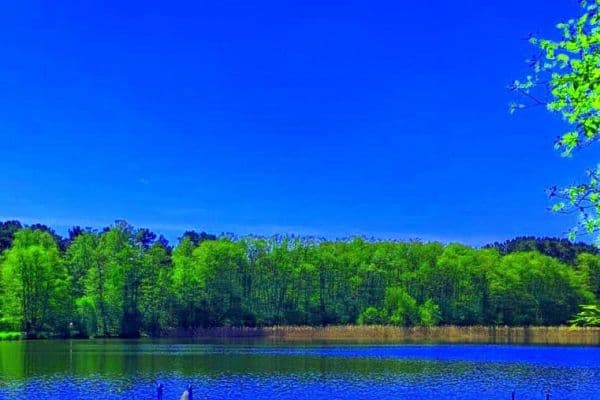 house for sale, 170 m², Berlin, Berlin house for sale, 170 m², Berlin, Berlin