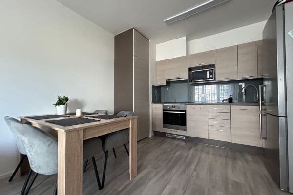 1 bedroom with open-plan kitchen flat to rent, 52 m², Granitova, Praha 1 bedroom with open-plan kitchen flat to rent, 52 m², Granitova, Praha