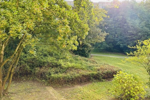 1 bedroom flat to rent, 39 m², Berlin, Berlin 1 bedroom flat to rent, 39 m², Berlin, Berlin