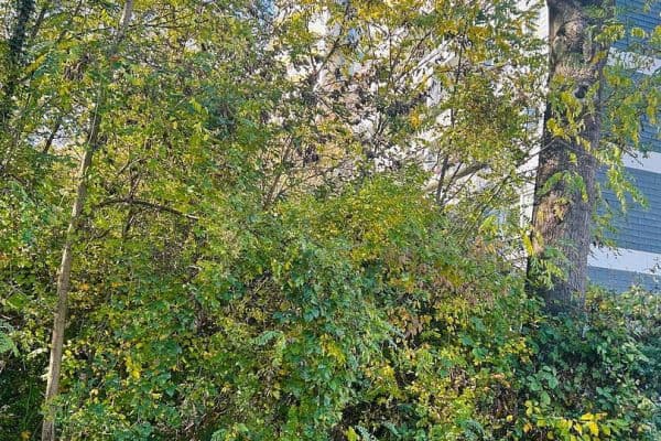 3 bedroom flat for sale, 88 m², Frölingstr. 7, Bad Homburg 3 bedroom flat for sale, 88 m², Frölingstr. 7, Bad Homburg