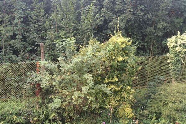 1 bedroom flat to rent, 45 m², Wuppertal 1 bedroom flat to rent, 45 m², Wuppertal