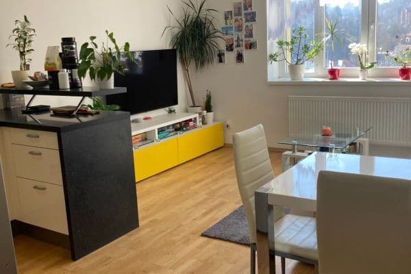 1 bedroom with open-plan kitchen flat to rent, 62 m², Plzeňská, Praha 1 bedroom with open-plan kitchen flat to rent, 62 m², Plzeňská, Praha