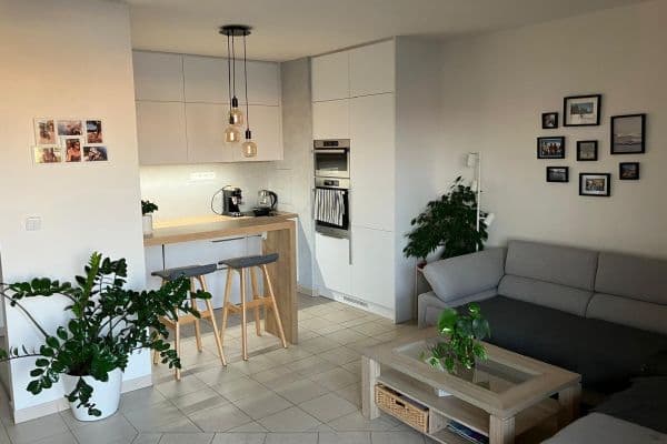 flat to rent, 55 m², Švehlova, Praha flat to rent, 55 m², Švehlova, Praha
