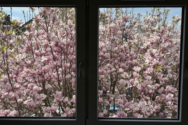 5 bedroom flat to rent, 126 m², Wiesbaden 5 bedroom flat to rent, 126 m², Wiesbaden