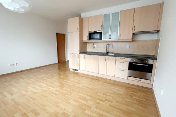 1 bedroom with open-plan kitchen flat to rent, 44 m², Třídvorská, 1 bedroom with open-plan kitchen flat to rent, 44 m², Třídvorská,