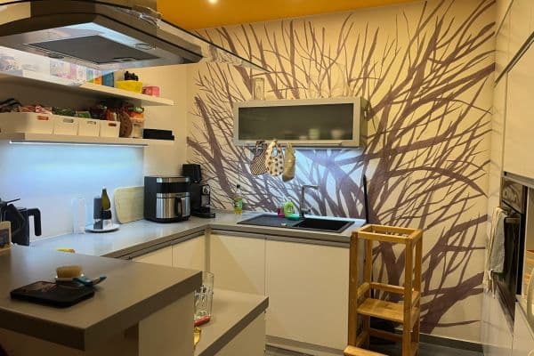 1 bedroom with open-plan kitchen flat to rent, 55 m², Rysova, Brno 1 bedroom with open-plan kitchen flat to rent, 55 m², Rysova, Brno
