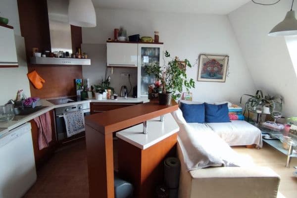 1 bedroom with open-plan kitchen flat to rent, 60 m², Dvořákova, Poděbrady 1 bedroom with open-plan kitchen flat to rent, 60 m², Dvořákova, Poděbrady