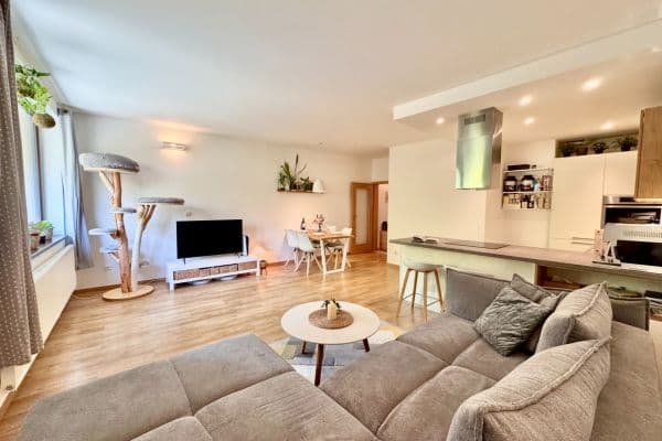 1 bedroom with open-plan kitchen flat to rent, 67 m², Musílkova, Praha 1 bedroom with open-plan kitchen flat to rent, 67 m², Musílkova, Praha