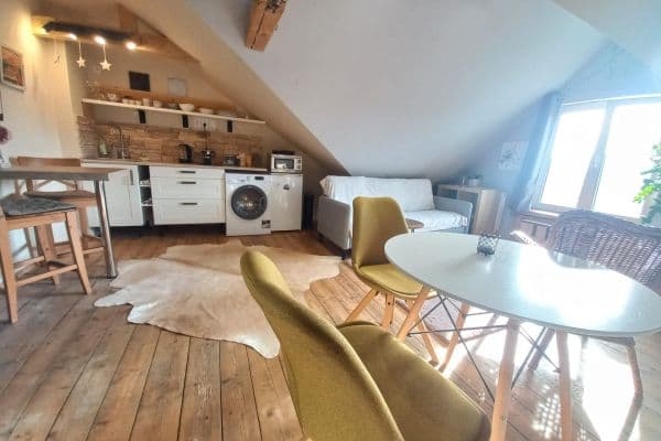1 bedroom with open-plan kitchen flat to rent, 54 m², U Trati, Karlovy Vary 1 bedroom with open-plan kitchen flat to rent, 54 m², U Trati, Karlovy Vary