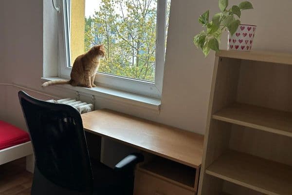 2 bedroom with open-plan kitchen flat to rent, 80 m², Babákova, Hlavní město Praha 2 bedroom with open-plan kitchen flat to rent, 80 m², Babákova, Hlavní město Praha