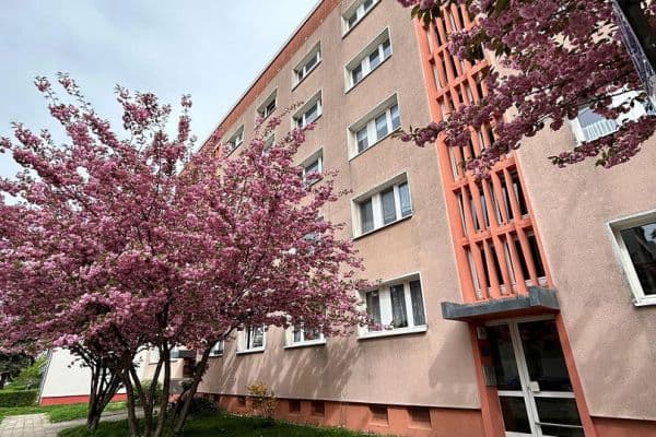 3 bedroom flat to rent, 64 m², Linzer Straße 45, Dessau-Roßlau, Saxony-Anhalt 3 bedroom flat to rent, 64 m², Linzer Straße 45, Dessau-Roßlau, Saxony-Anhalt