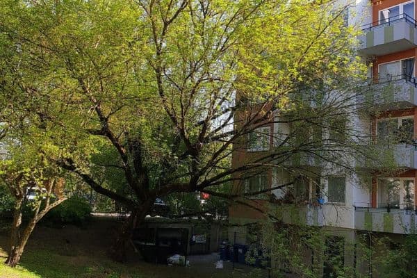 3 bedroom flat for sale, 70 m², Berlin, Berlin 3 bedroom flat for sale, 70 m², Berlin, Berlin