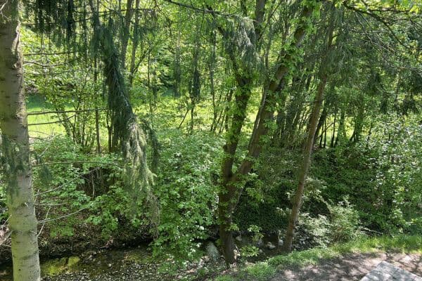 house for sale, 115 m², Mauerbach house for sale, 115 m², Mauerbach