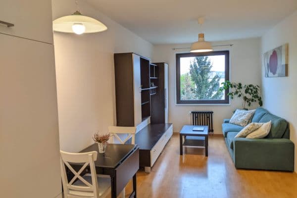 1 bedroom with open-plan kitchen flat to rent, 47 m², Nad Palatou, Praha 1 bedroom with open-plan kitchen flat to rent, 47 m², Nad Palatou, Praha