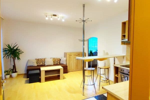 1 bedroom with open-plan kitchen flat to rent, 42 m², Štichova, Hlavní město Praha 1 bedroom with open-plan kitchen flat to rent, 42 m², Štichova, Hlavní město Praha