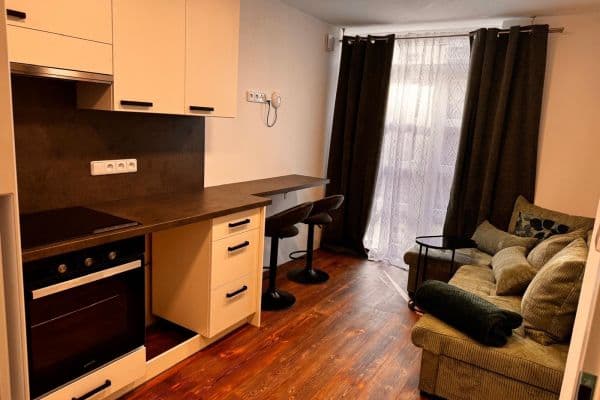 1 bedroom with open-plan kitchen flat to rent, 25 m², V Zahrádkách, Ústí nad Labem, Ústecký Region 1 bedroom with open-plan kitchen flat to rent, 25 m², V Zahrádkách, Ústí nad Labem, Ústecký Region