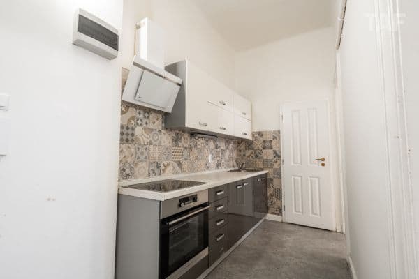 1 bedroom with open-plan kitchen flat for sale, 53 m², Lucemburská, Praha 1 bedroom with open-plan kitchen flat for sale, 53 m², Lucemburská, Praha