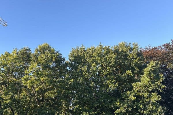 3 bedroom flat to rent, 81 m², Hamburg 3 bedroom flat to rent, 81 m², Hamburg