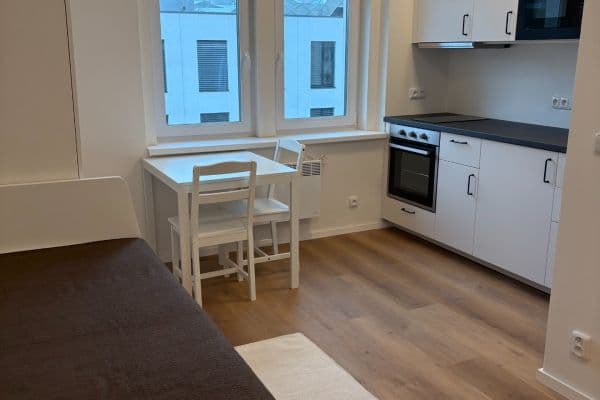 Studio flat to rent, 19 m², U Tyrše, Praha Studio flat to rent, 19 m², U Tyrše, Praha