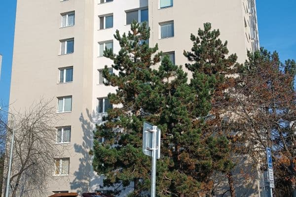 1 bedroom with open-plan kitchen flat to rent, 48 m², Borského, Hlavní město Praha 1 bedroom with open-plan kitchen flat to rent, 48 m², Borského, Hlavní město Praha