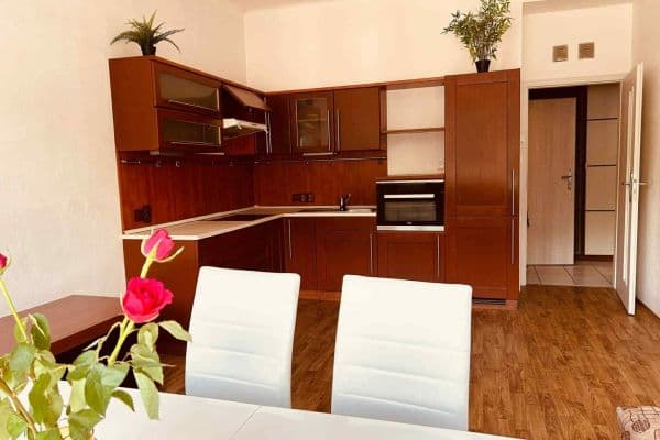 1 bedroom with open-plan kitchen flat for sale, 49 m², Vrchlického, Hlavní město Praha 1 bedroom with open-plan kitchen flat for sale, 49 m², Vrchlického, Hlavní město Praha