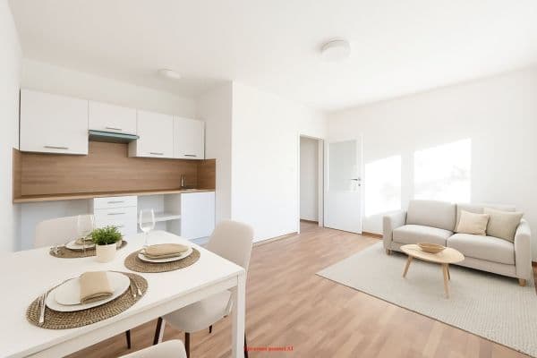 Studio flat to rent, 19 m², Moskevská, Studio flat to rent, 19 m², Moskevská,