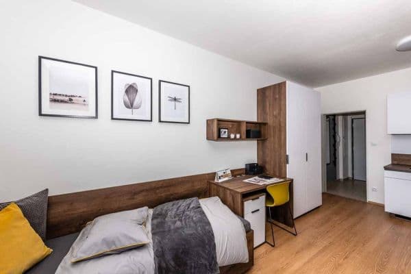 Studio flat to rent, 28 m², Magisterská, Studio flat to rent, 28 m², Magisterská,