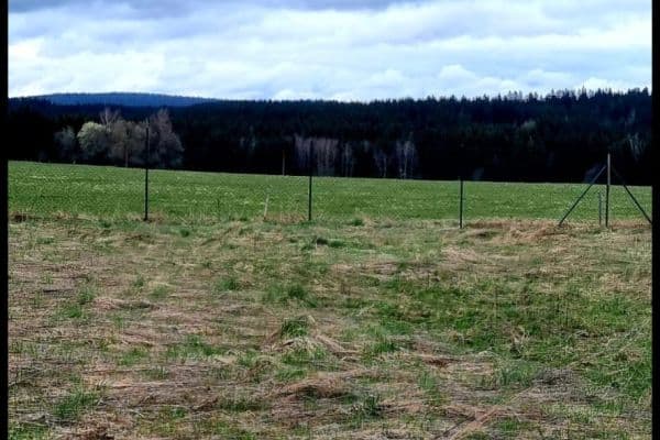 plot for sale, 571 m², Zádub-Závišín plot for sale, 571 m², Zádub-Závišín