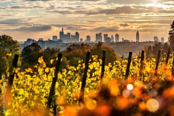 plot for sale, 701 m², Lohrberg, Seckbach, Frankfurt am Main plot for sale, 701 m², Lohrberg, Seckbach, Frankfurt am Main