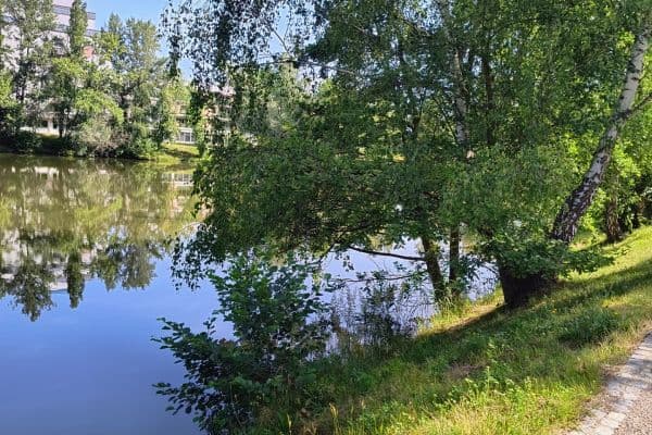 4 bedroom flat for sale, 75 m², Mladých, Pardubice 4 bedroom flat for sale, 75 m², Mladých, Pardubice